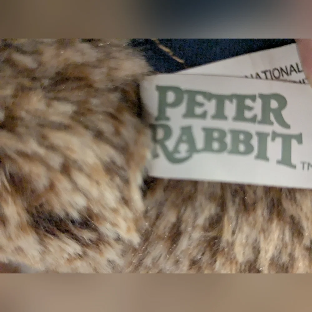 Peter Rabbit Plush Toy with Blue Jacket - Picture 6 of 12